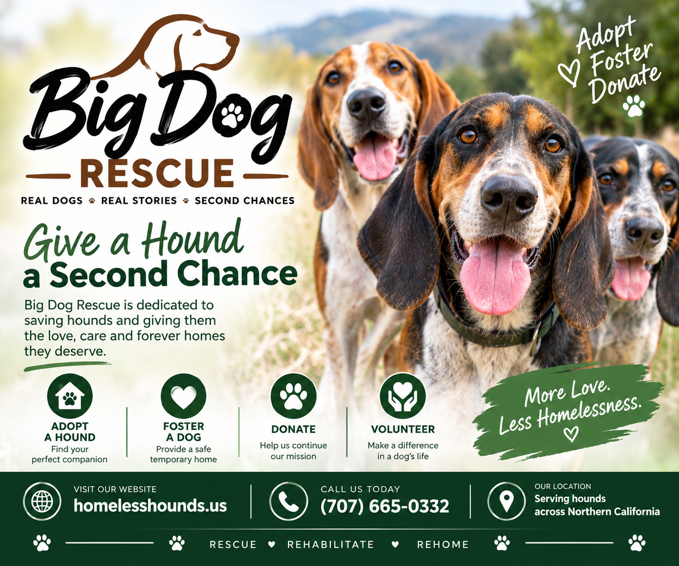 Facebook ad created for Big Dog Rescue encouraging adoptions, fostering and donations